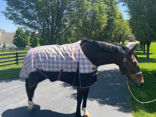 K&S Classics Turnout 200 GSM Standard Neck Blanket