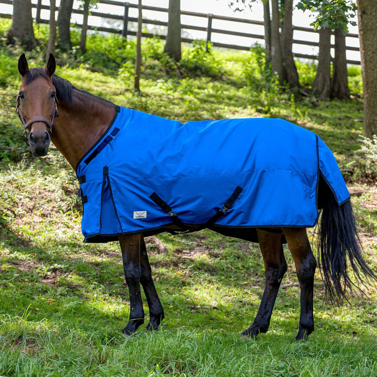 K&S Classics Comfy Neck Turnout Blanket