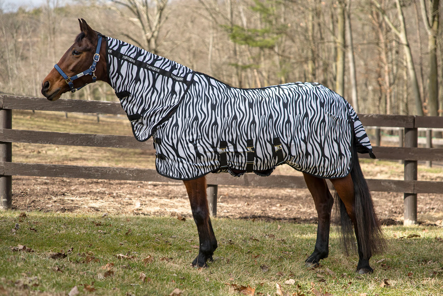K&S Classics Comfy Plus Combo Neck Fly Sheet