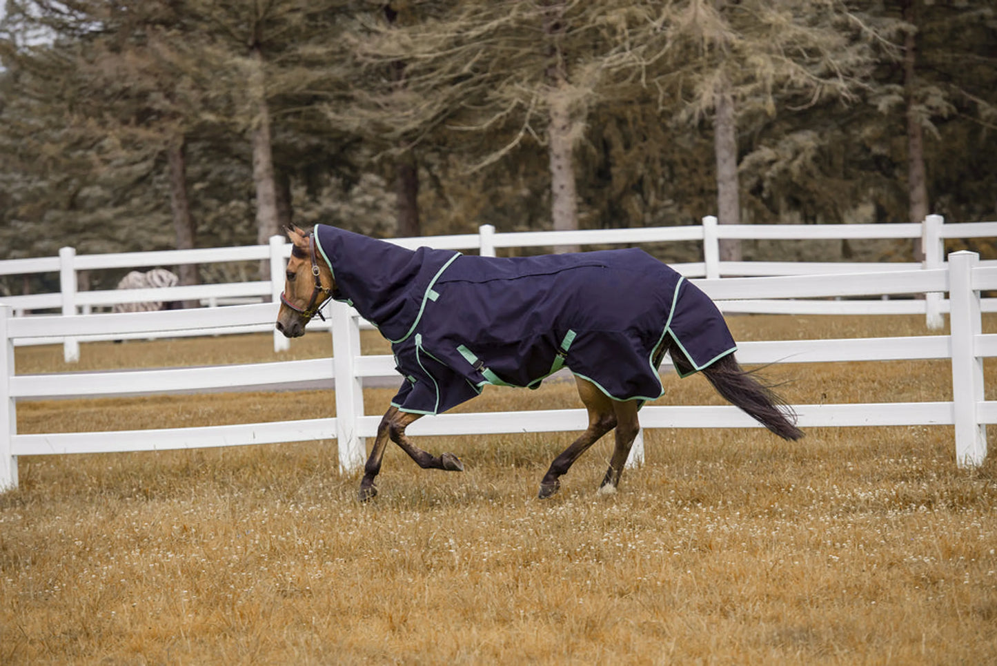 K&S Classics 4-in-1 Waterproof All Season Blanket