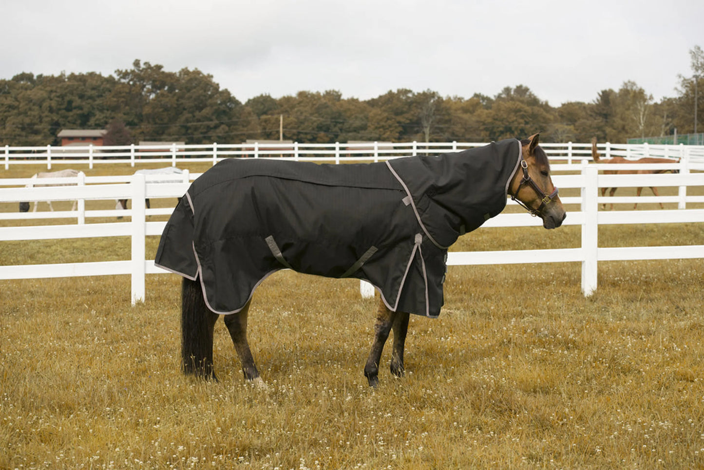 K&S Classics 4-in-1 Waterproof All Season Blanket