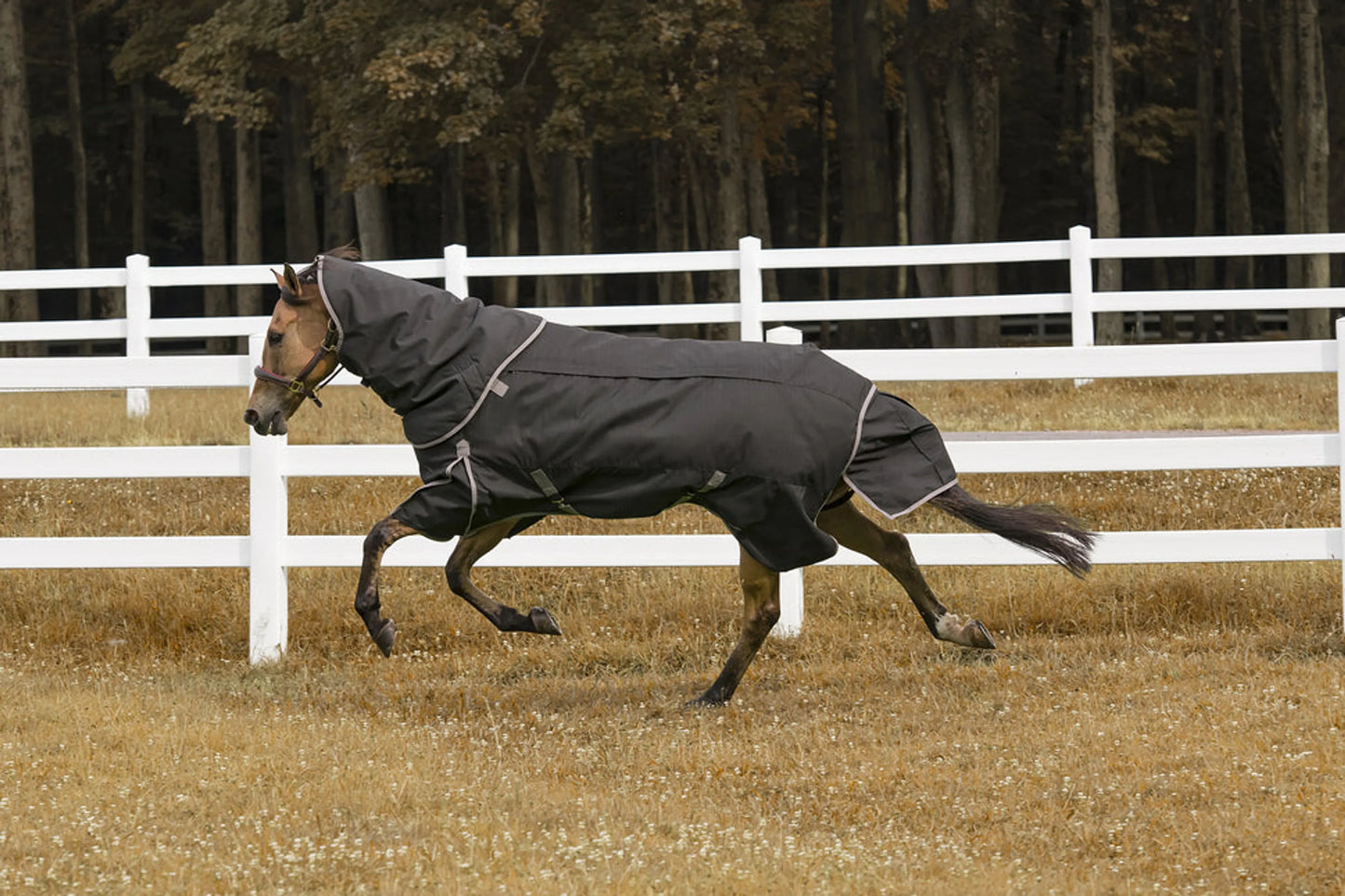 K&S Classics 4-in-1 Waterproof All Season Blanket