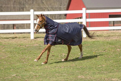 K&S Classics Comfy Heavy Weight Detachable Neck Winter Blanket