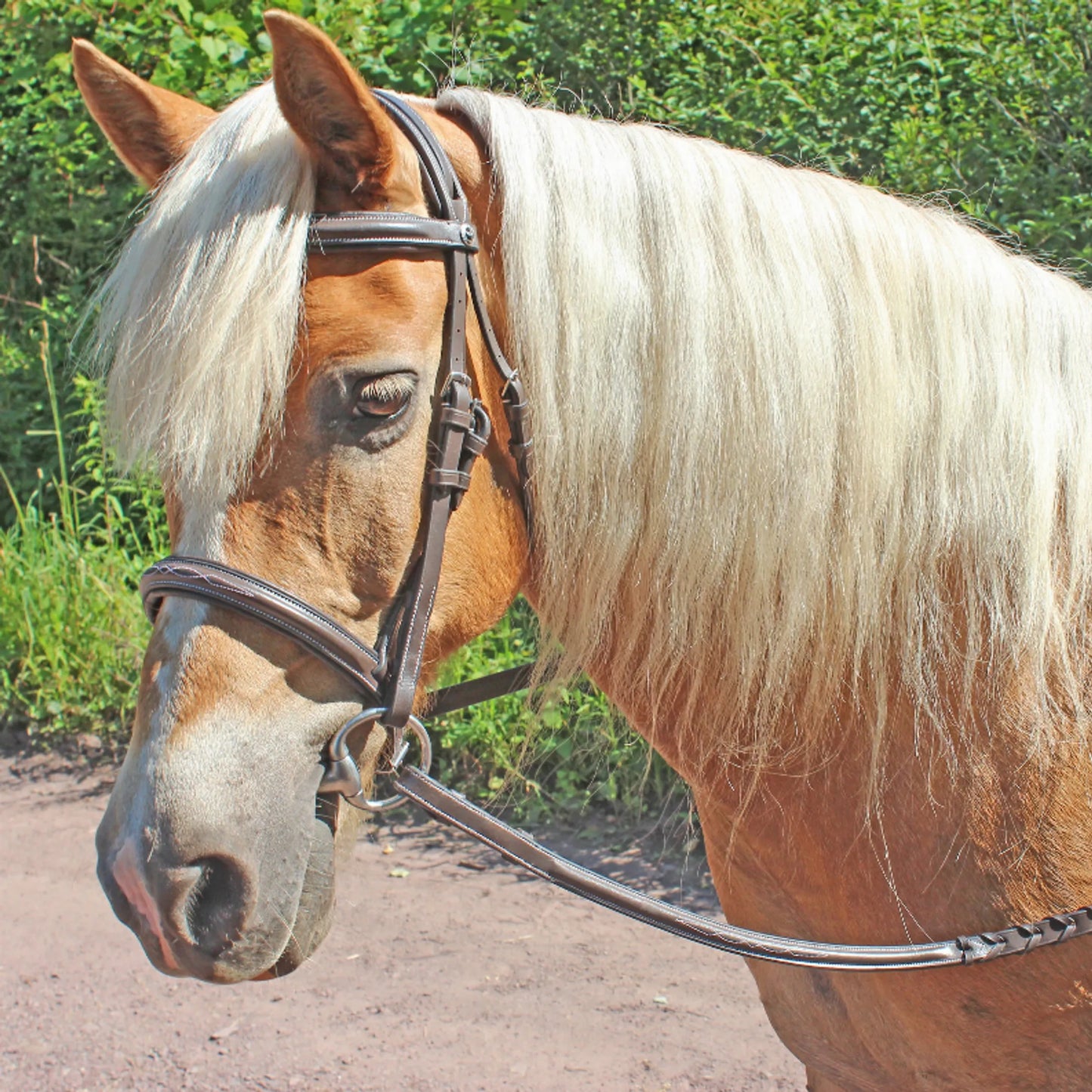 K&S Classics Pro Fancy Raised Comfort Crown Padded Bridle