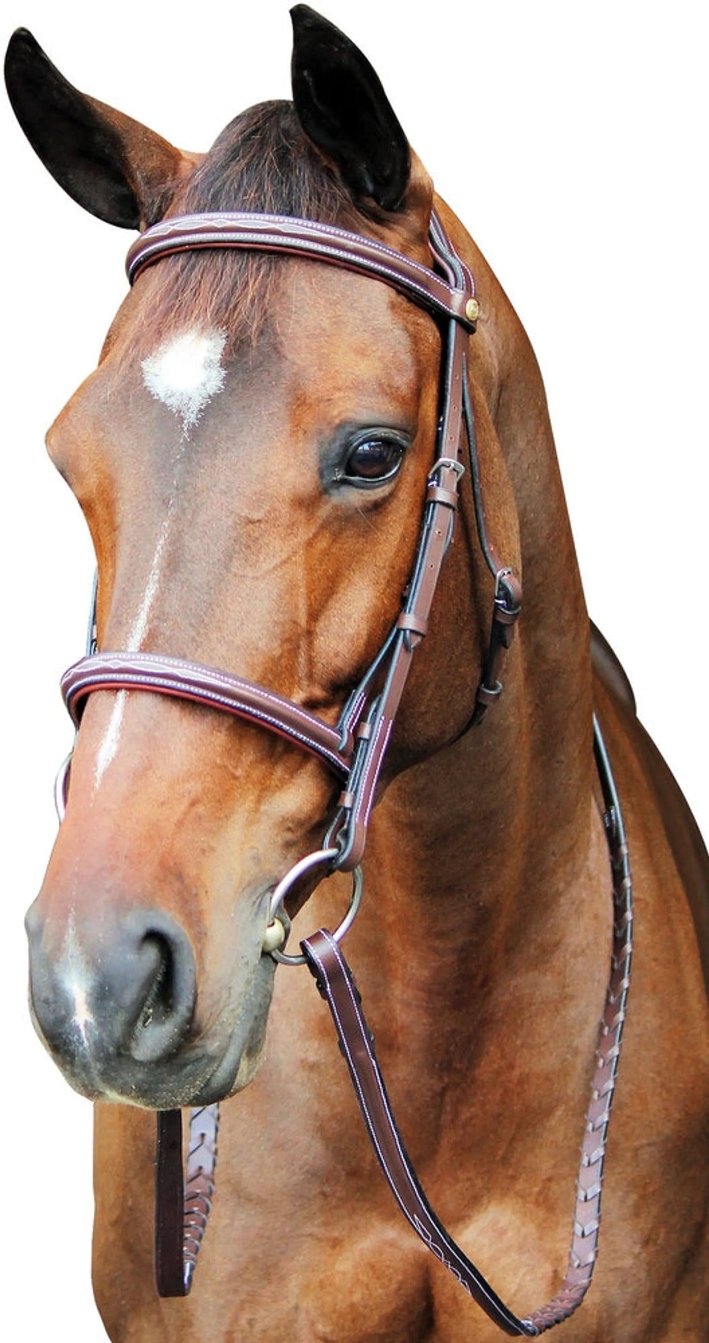 K&S Classics Pro Fancy Raised Comfort Crown Padded Bridle