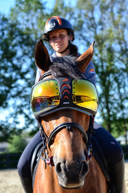 K&S Classics eVysor Transparent Horse Eye Visor