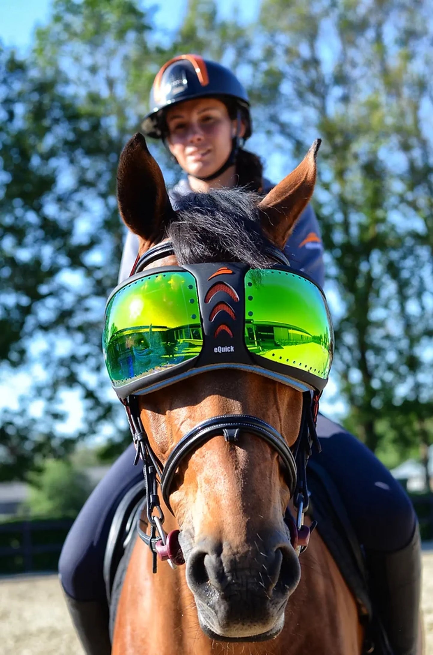 K&S Classics eVysor Transparent Horse Eye Visor