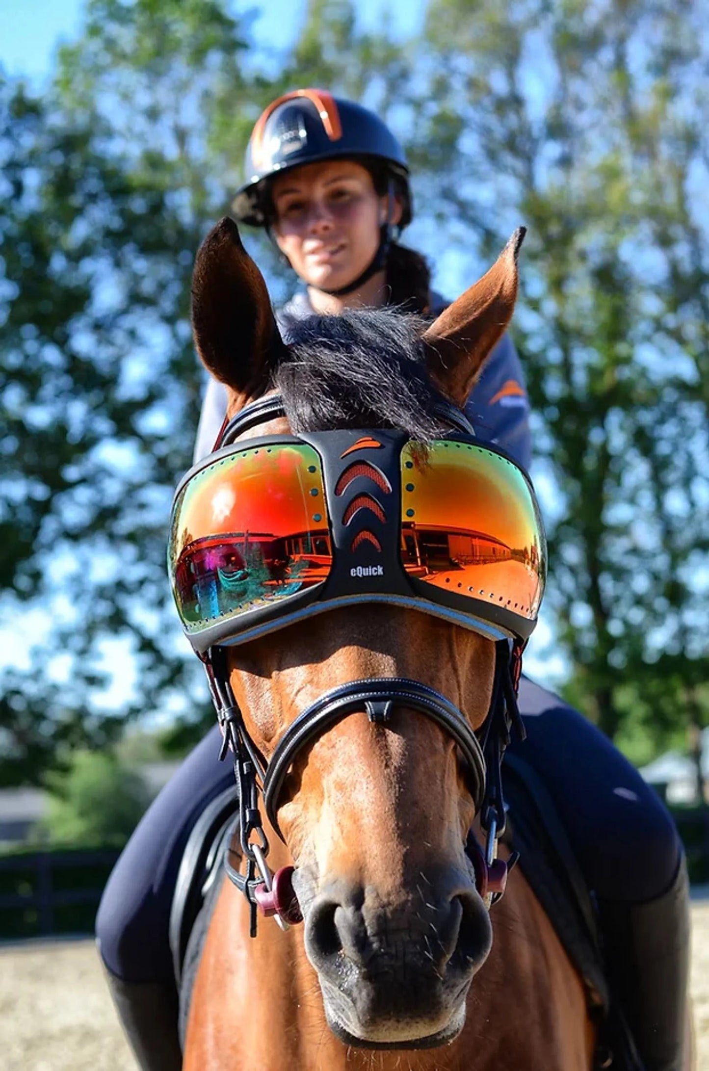 K&S Classics eVysor Transparent Horse Eye Visor