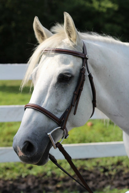 K&S Classics Advantage Plain Raised Snaffle Bridle