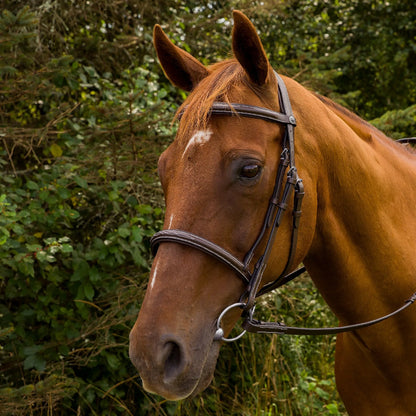 K&S Classics Pro Mono Crown Fancy Stitched Padded Bridle