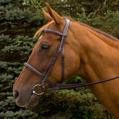 K&S Classics Pro Mono Crown Fancy Stitched Padded Bridle