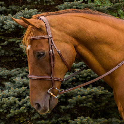 K&S Classics Pro Mono Crown Fancy Stitched Padded Bridle
