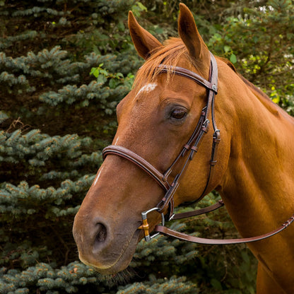 K&S Classics Pro Mono Crown Fancy Stitched Padded Bridle