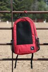 Simple Stride Grooming and Gear Bag Red