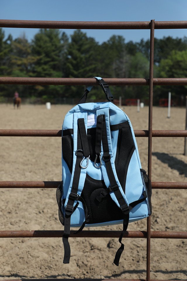 Simple Stride Grooming and Gear Bag Sky Blue